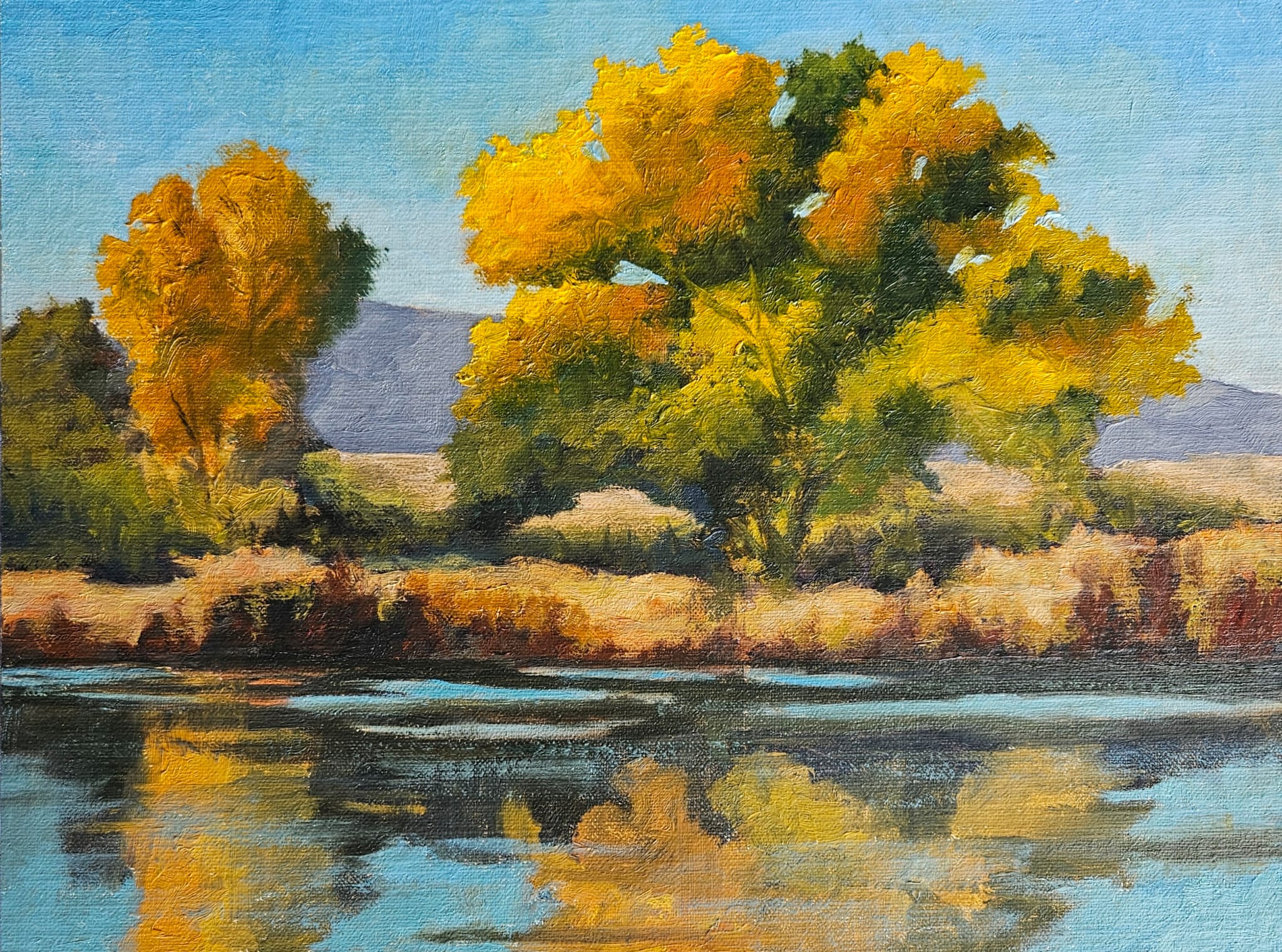 Cottonwood Reflections